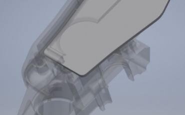 Stem_cutted_view